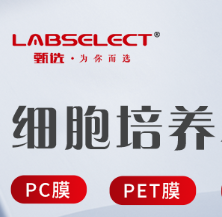 PP-96-FS-0100-WW 96孔100ul全裙邊PCR板，H1切角，白框，白管